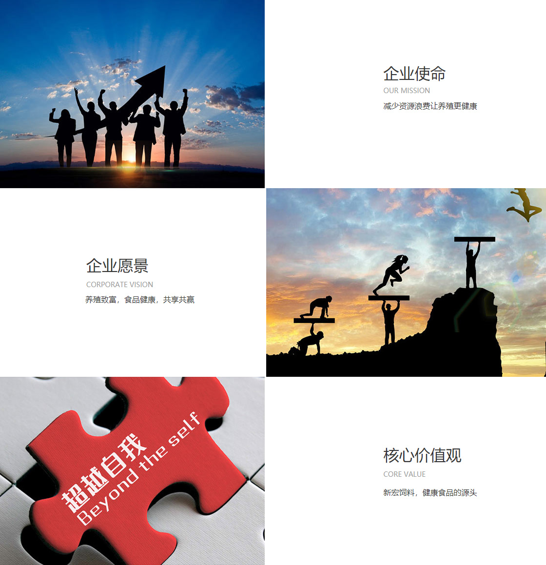 山猫足球直播在线直播观看免费(图1)